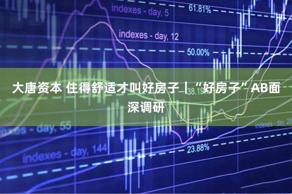 大唐资本 住得舒适才叫好房子｜“好房子”AB面深调研