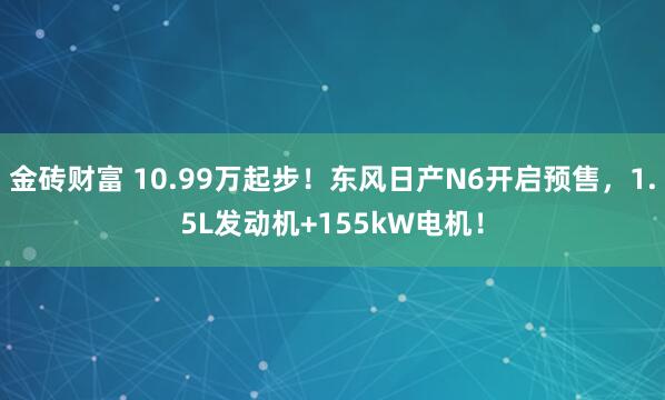 金砖财富 10.99万起步！东风日产N6开启预售，1.5L发动机+155kW电机！