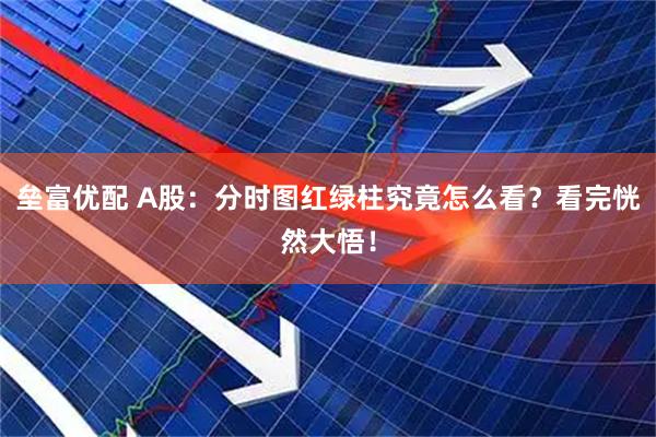 垒富优配 A股：分时图红绿柱究竟怎么看？看完恍然大悟！