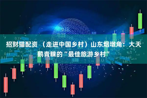 招财猫配资 （走进中国乡村）山东烟墩角：大天鹅青睐的“最佳旅游乡村”